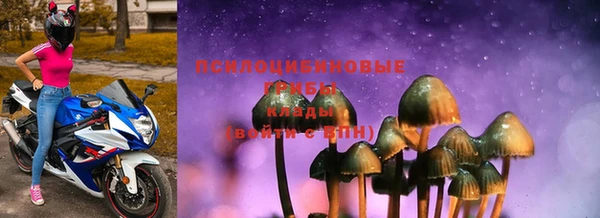 твердый Болотное
