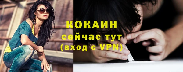 ПСИЛОЦИБИНОВЫЕ ГРИБЫ Новодвинск