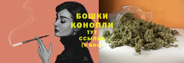 гидропоника Новозыбков