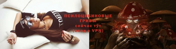 гидропоника Новозыбков