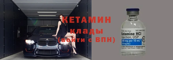 твердый Болотное