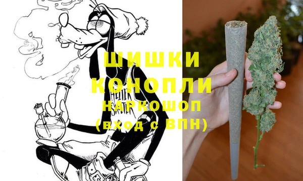 трава Слюдянка