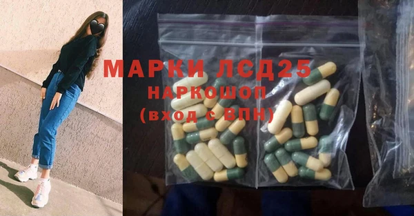ПСИЛОЦИБИНОВЫЕ ГРИБЫ Новодвинск