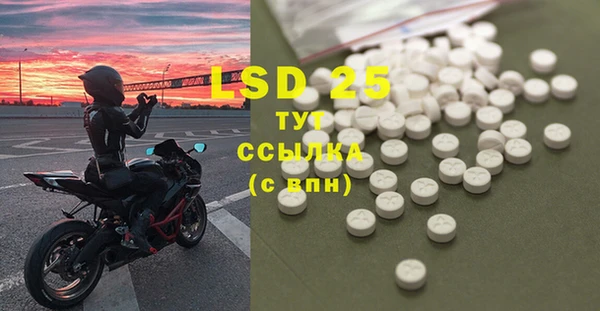 ПСИЛОЦИБИНОВЫЕ ГРИБЫ Новодвинск