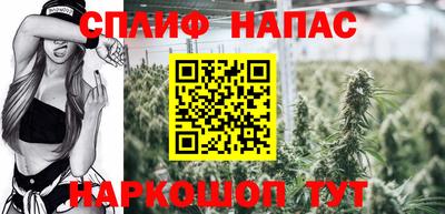 скорость Кимры